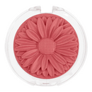 Blush Margaripétala Cremosidade Aveludada Maria Margarida